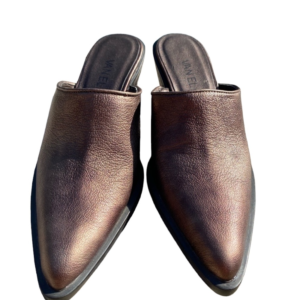 Van Eli Metallic Slip On Pointed Toes Shoes
